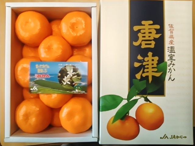 唐津ハウスみかん